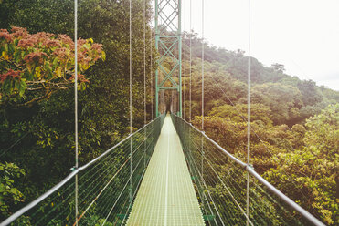 Costa Rica, Monte Verde, Hängebrücke im Wald von Monte Verde - KIJF01882