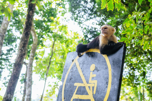 Costa Rica, Manuel Antonio, Affe sitzt auf einem Schild im Manuel Antonio National Park - KIJF01886