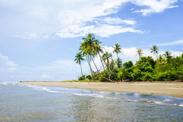 Costa Rica, Beach landscape with palm trees - KIJF01887