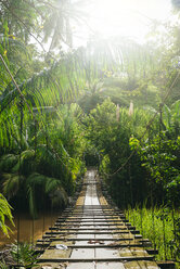 Costa Rica, Holzbrücke und Seile über den Fluss in Corcovado. - KIJF01888