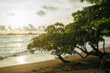 Costa Rica, Corcovado beach at sunset - KIJF01889