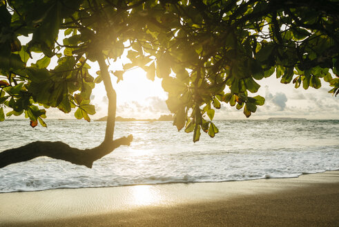 Costa Rica, Corcovado-Strand bei Sonnenuntergang - KIJF01890