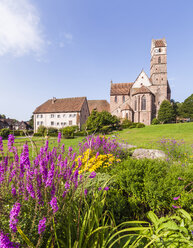 Deutschland, Baden-Württemberg, Schwarzwald, Klosterkirche Alpirsbach - WDF04246