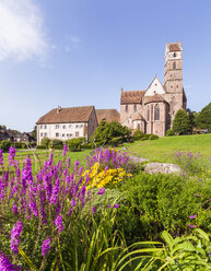 Germany, Baden-Wurttemberg, Black Forest, Alpirsbach abbey church - WDF04246