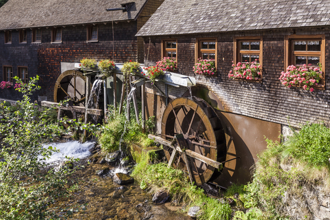 Deutschland, Baden-Württemberg, Schwarzwald, Hexenloch Wassermühle, lizenzfreies Stockfoto