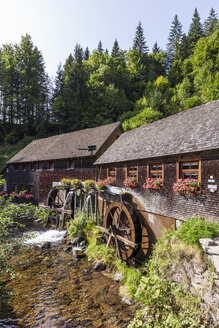 Deutschland, Baden-Württemberg, Schwarzwald, Hexenloch Wassermühle - WDF04250