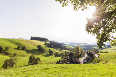 Deutschland, Baden-Württemberg, Schwarzwald, Schwarzwaldhof bei St. Maergen - WDF04255