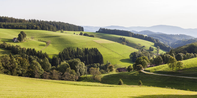 Deutschland, Baden-Württemberg, Schwarzwald, Schwarzwaldhof bei St. Maergen - WDF04256