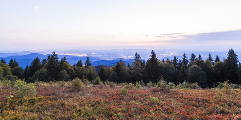 Deutschland, Baden-Württemberg, Schwarzwald, Blick vom Kandelberg - WDF04259