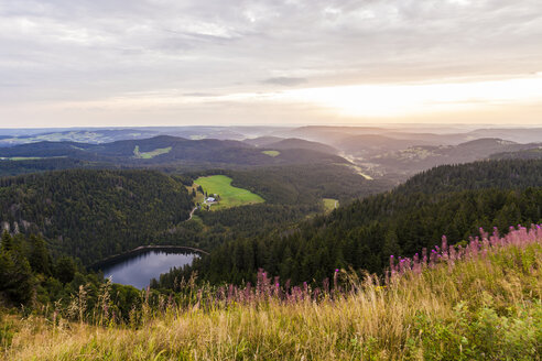 Deutschland, Baden-Württemberg, Schwarzwald, Blick vom Feldberg bei Sonnenaufgang - WDF04260