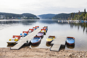 Germany, Baden-Wurttemberg, Black Forest, - WDF04262