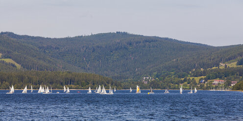 Germany, Baden-Wurttemberg, Black Forest, - WDF04263