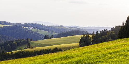 Deutschland, Baden-Württemberg, Schwarzwald, Felder und Wald mit Bauernhaus im Hintergrund - WDF04270