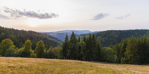 Deutschland, Baden-Württemberg, Schwarzwald, Landschaft bei St. Maergen - WDF04273