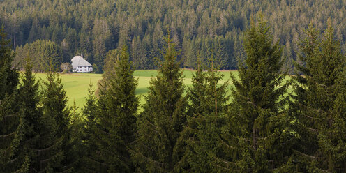 Deutschland, Baden-Württemberg, Schwarzwald, Schwarzwälder Bauernhaus bei Thurner - WDF04277