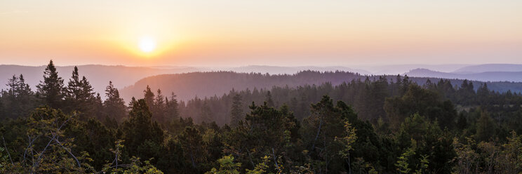 Deutschland, Baden-Württemberg, Schwarzwald, Blick vom Schliffkopf bei Sonnenaufgang - WDF04285