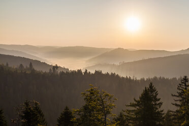 Deutschland, Baden-Württemberg, Schwarzwald, Blick vom Schliffkopf bei Sonnenaufgang - WDF04286