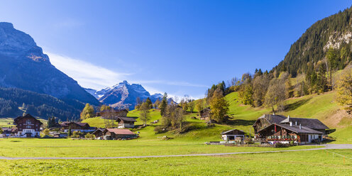 Schweiz, Kanton Bern, Gstaad, Alpweide und Bauernhäuser - WDF04300