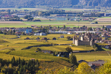 Switzerland, Canton Vaud, Aigle, vineyards and Aigle Castle - WDF04302