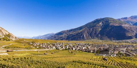 Schweiz, Wallis, Leytron, Stadtbild und Weinberge, lizenzfreies Stockfoto