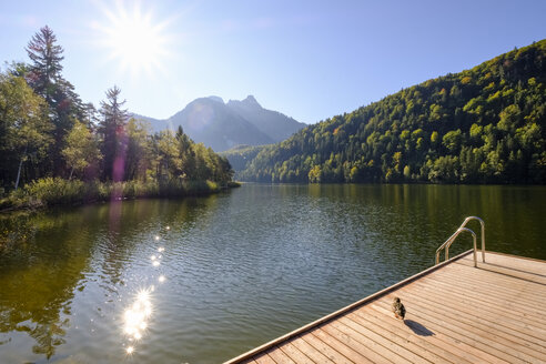 Deutschland, Bayern, Allgäu, Schwansee bei Schwangau - SIEF07659