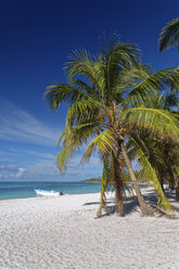 Carribean, Dominican Republic, beach on the Caribbean Island Isla Saona - GFF01055