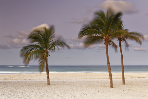 Karibik, Dominikanische Republik, Punta Cana, Playa Bavaro, sich bewegende Palmen am Strand bei Sonnenuntergang, lizenzfreies Stockfoto