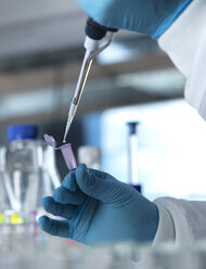 Ein Wissenschaftler pipettiert eine DNA-Probe in ein Eppendorf-Röhrchen für einen Gentest in einem Labor - ABRF00014