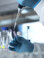 Scientist pipetting a DNA sample into a eppendorf tube for genetic testing in a laboratory - ABRF00014