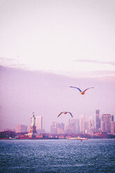 USA, New York City, Statue of Liberty on Liberty Island and skyline of Manhattan in the background - CMF00765