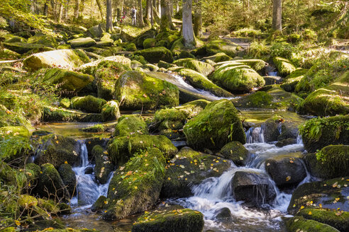 Deutschland, Bayern, Saussbachschlucht bei Waldkirchen - SIEF07667