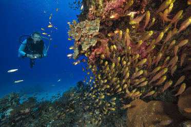 Egypt, Red Sea, Hurghada, scuba diver at coral reef - YRF00171