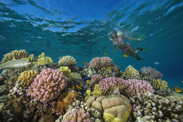 Egypt, Red Sea, Hurghada, young woman snorkeling at coral reef - YRF00173