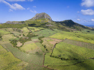 Mauritius, Highlands, sugarcane fields - FOF09696