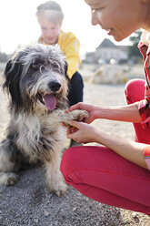 Man and woman with dog outdoors - ECPF00177