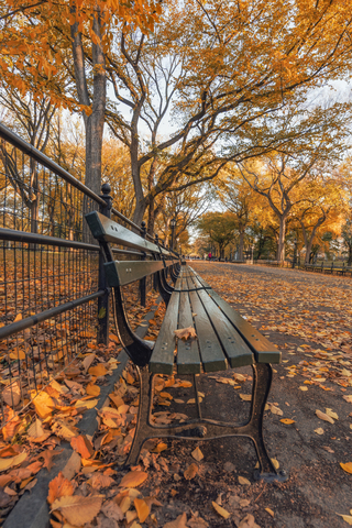 USA, New York City, Manhattan, Central Park im Herbst, lizenzfreies Stockfoto