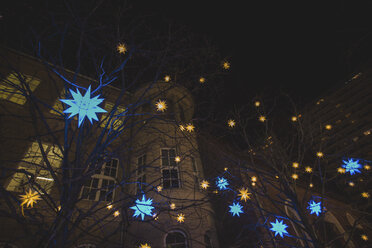 Germany, Berlin, Christmas decoration, Moravian stars hanging in trees - ASCF00765