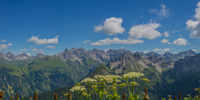 Deutschland, Bayern, Allgäu, Blick auf die Allgäuer Alpen, Panorama des Allgäuer Hauptkamms, Blick vom Fellhorn - WGF01161