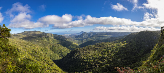 Mauritius, Black River Gorges National Park, Black River Gorges - FOF09713
