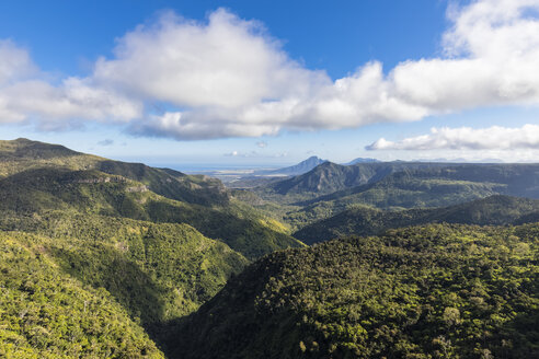 Mauritius, Black River Gorges National Park, Black River Gorges - FOF09714