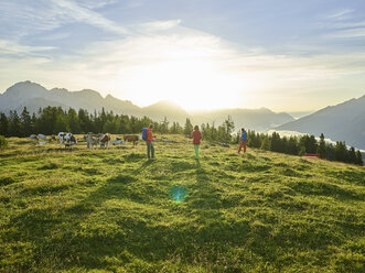 Österreich, Tirol, Mieminger Plateau, Wanderer auf Almwiese mit Kühen bei Sonnenaufgang - CVF00051