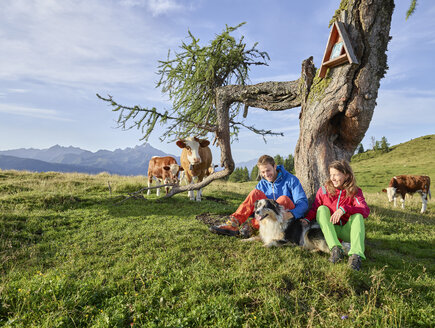 Österreich, Tirol, Mieminger Plateau, Wanderer mit Hund machen Pause auf Almwiese mit Kühen - CVF00056