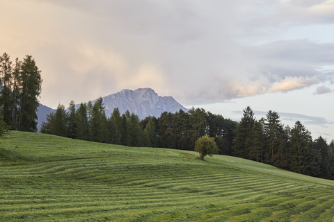 Österreich, Tirol, Mieminger Plateau, gemähte Wiese nach Sonnenuntergang, lizenzfreies Stockfoto