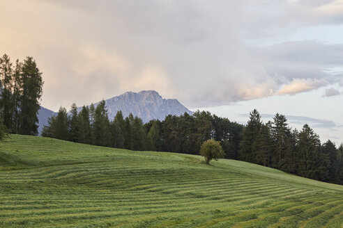 Österreich, Tirol, Mieminger Plateau, gemähte Wiese nach Sonnenuntergang - CVF00060