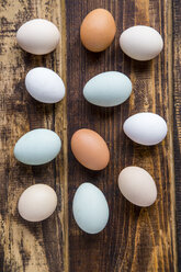 Verschiedene Eier, weiße, braune, hellbraune und grüne Eier - SARF03481