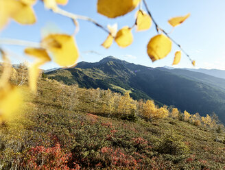 österreich, Tirol, Tuxer Alpen, Schwaz, Gilfert, Landschaft im Herbst - CVF00067
