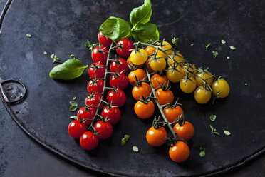 Cherry tomatoes - CSF28764