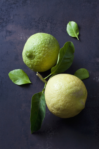 Zwei Zitronen mit Blättern, lizenzfreies Stockfoto