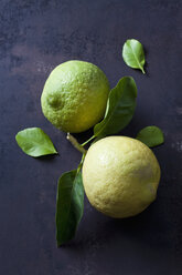 Two citrons with leaves - CSF28766