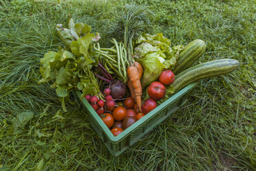 Harvested mixed vegetables and apples in a box - TCF05464